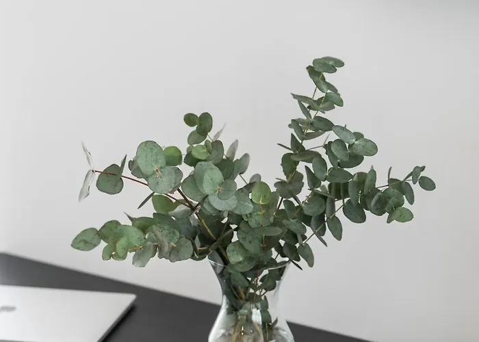 Skylark - Melbourne Penthouse With Jacuzzi & View *